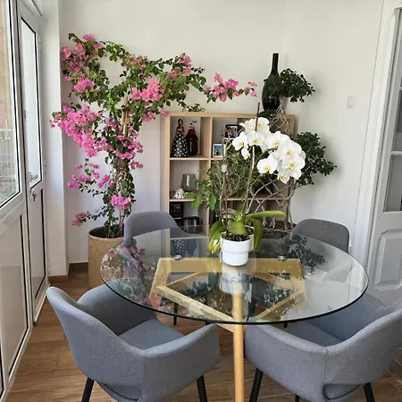 아파트 Cozy With 3 Bedrooms And Living Close To The Center 리스본